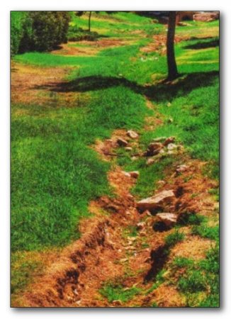 Рельеф участка Рельеф участка