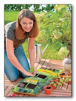 Ландшафтный дизайн садового участка Ландшафтный дизайн садового участка