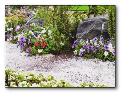 Камень на дачном участке Камень на дачном участке