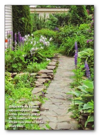 Камень на дачном участке Камень на дачном участке