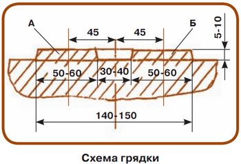 Картофель под мульчей Картофель под мульчей