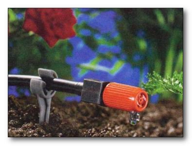 Капельный полив Капельный полив