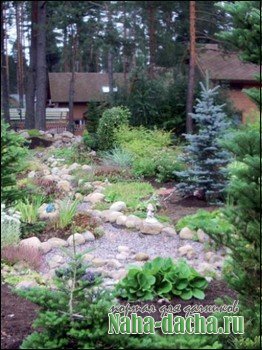 Благоустройство дачного участка Благоустройство дачного участка