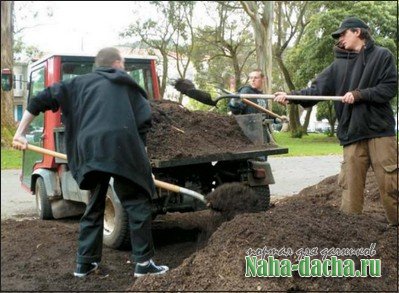 Удобрения для сада Удобрения для сада