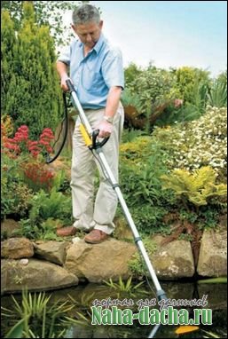 Уход за садовым водоемом Уход за садовым водоемом