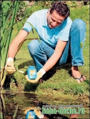 Уход за садовым водоемом Уход за садовым водоемом
