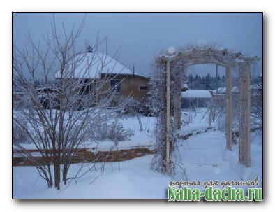 ������ � ������ ����