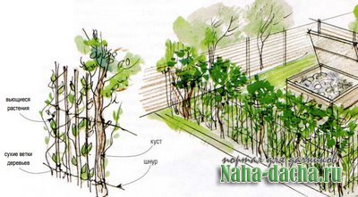 компостная яма компостная яма