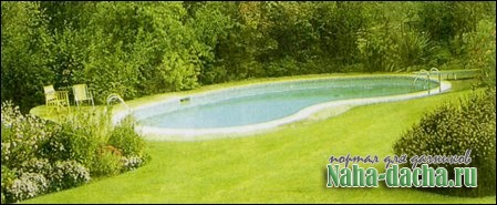 васейн в саду васейн в саду