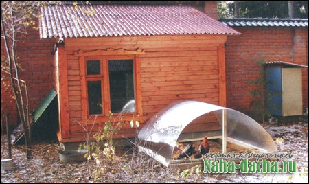 что бы куры неслись зимой что бы куры неслись зимой