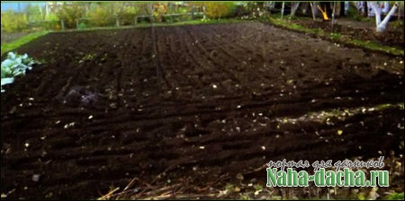 Подготовка к зиме на даче Подготовка к зиме на даче