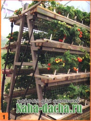 Вертикальный огород на даче Вертикальный огород на даче