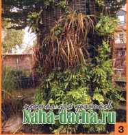 Вертикальный огород на даче Вертикальный огород на даче