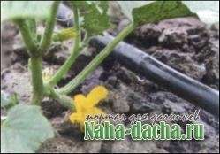 Системы полива Системы полива