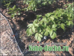 Системы полива Системы полива