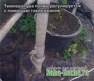 Кроим теплицу на зимний лад Кроим теплицу на зимний лад