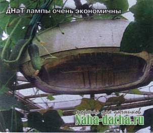 Кроим теплицу на зимний лад Кроим теплицу на зимний лад